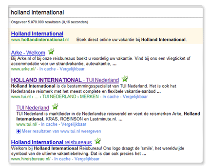 Holland International in Google organische resultaten